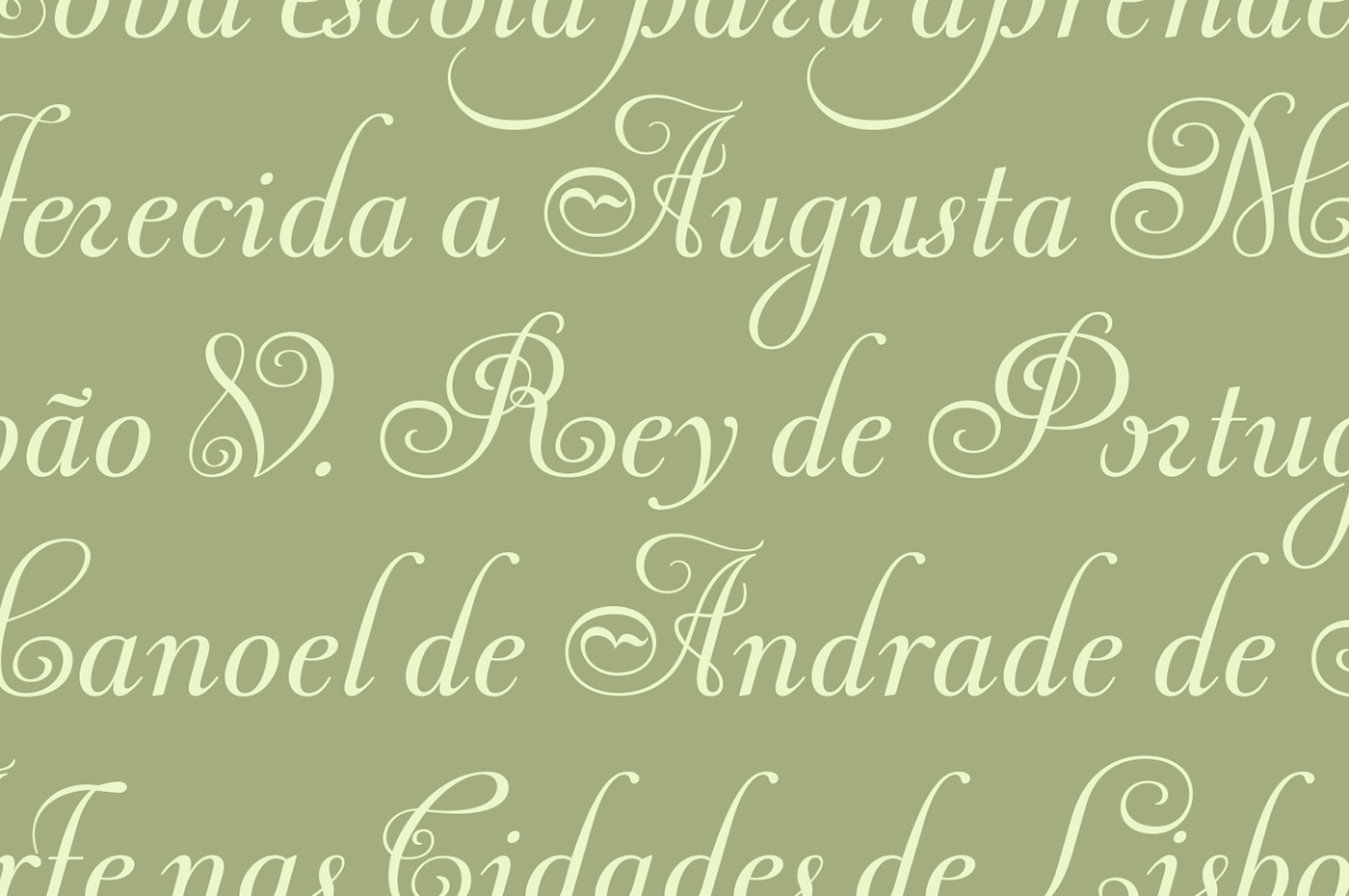 fonts typefaces type family