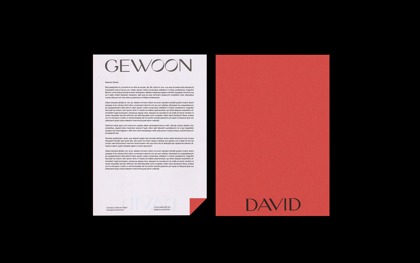 identity gewoon david branding  editorial system graphic design  brand