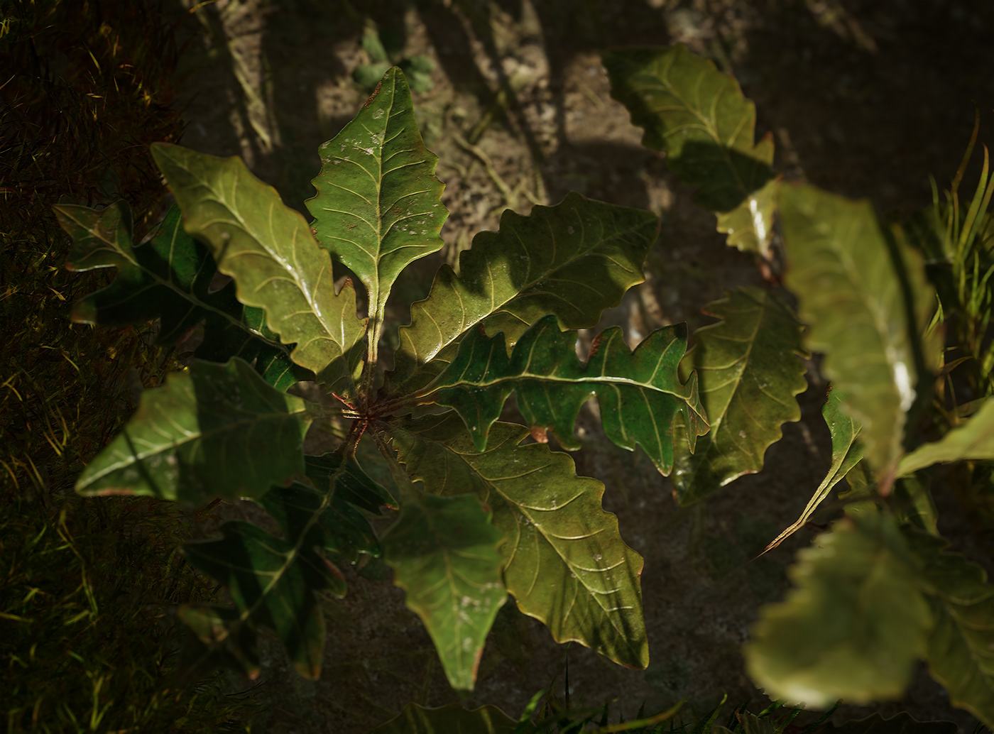 3dart foliage game environment gameart plants SpeedTree Substance Painter textures & materials Tree  vegetation
