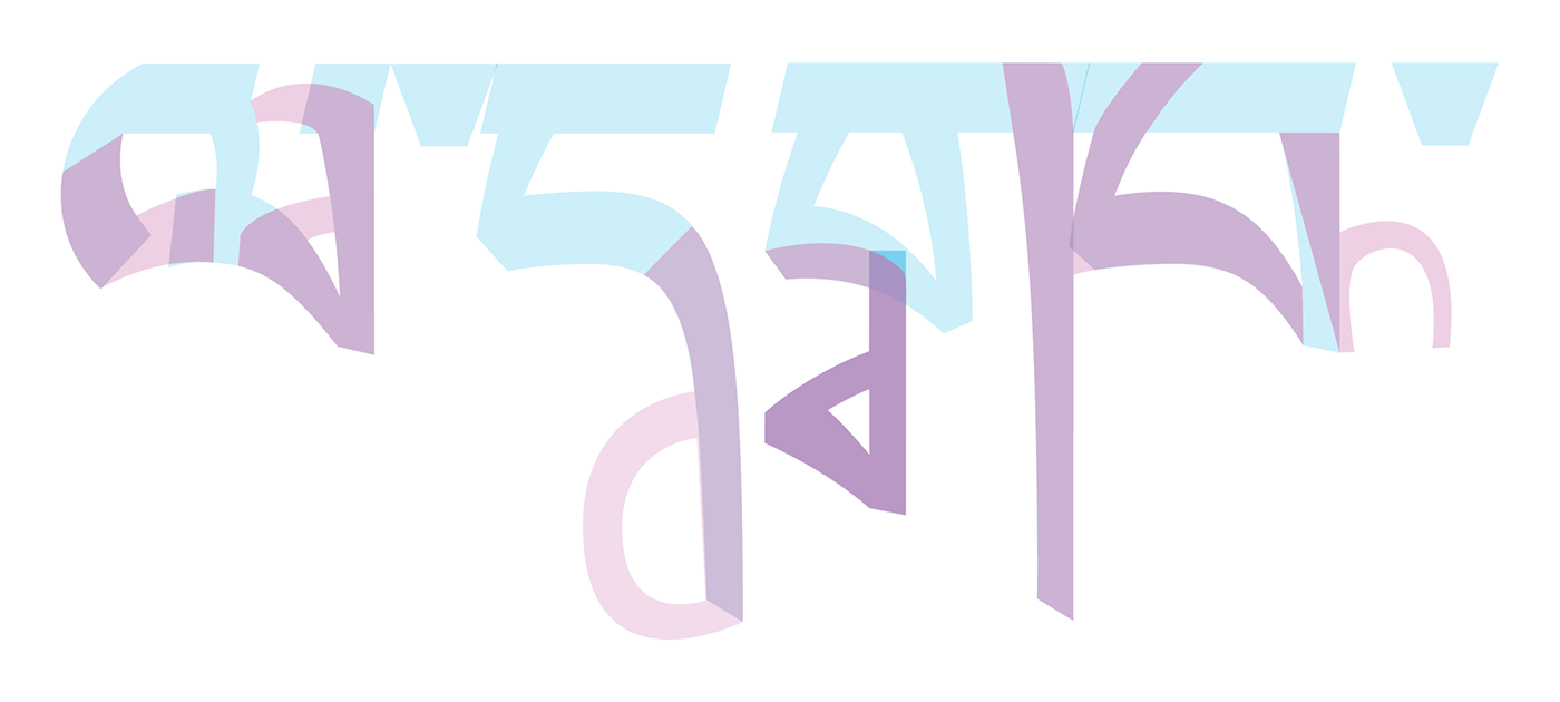 typography   typo type typographic ladakh tourism Incredible India India type design Typographie