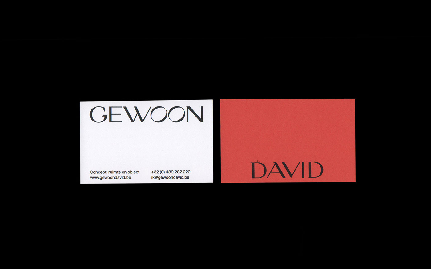 identity gewoon david branding  editorial system graphic design  brand