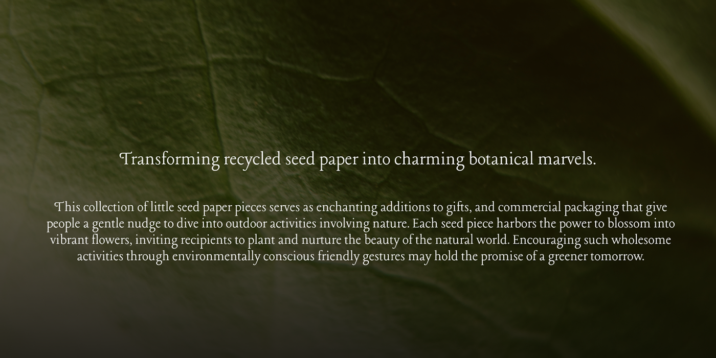 ecofriendly Sustainability eco recycled paper environmentally friendly conscious design seedpaper