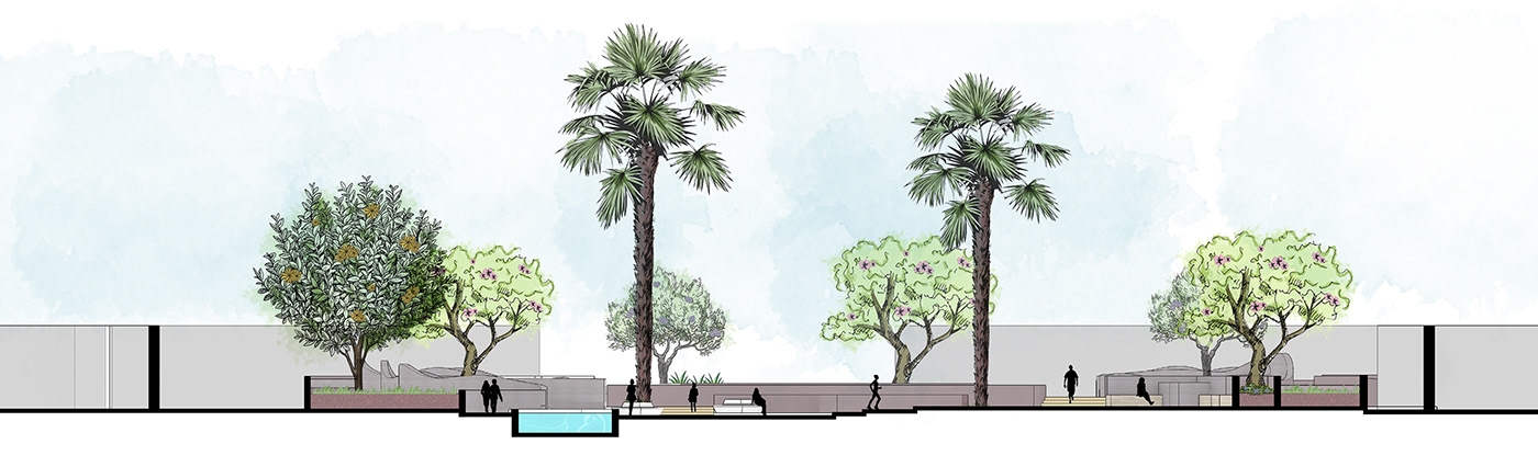 Landscape Landscape Design architecture visualization Render exterior Palm Tree University pedestrian public