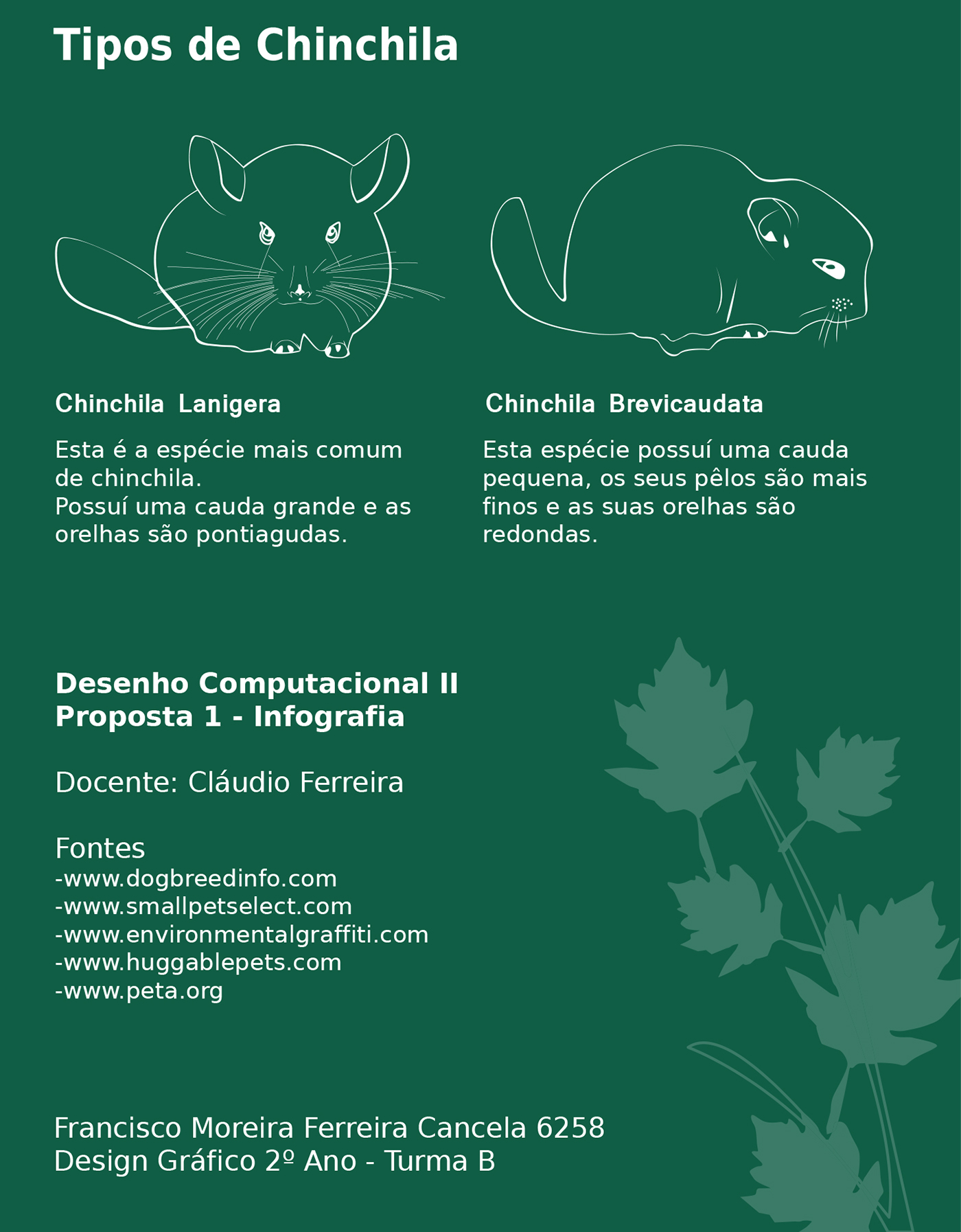 chinchila infographic green chinchilla poster digital