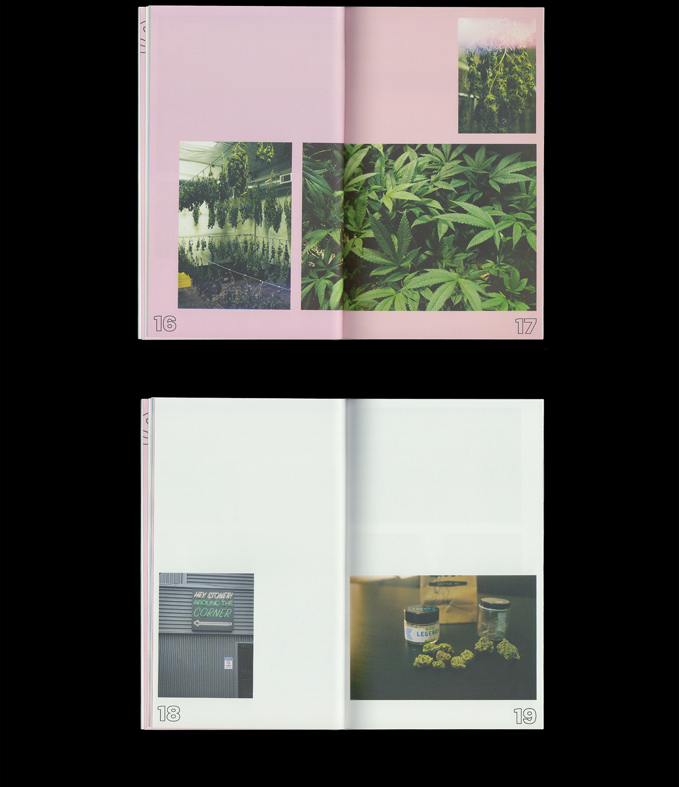 editorial publication book photo seattle Travel Film   analog weed Nature