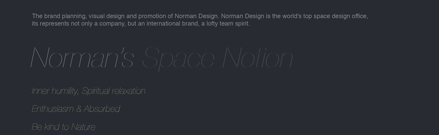branding  graphic design  logo design