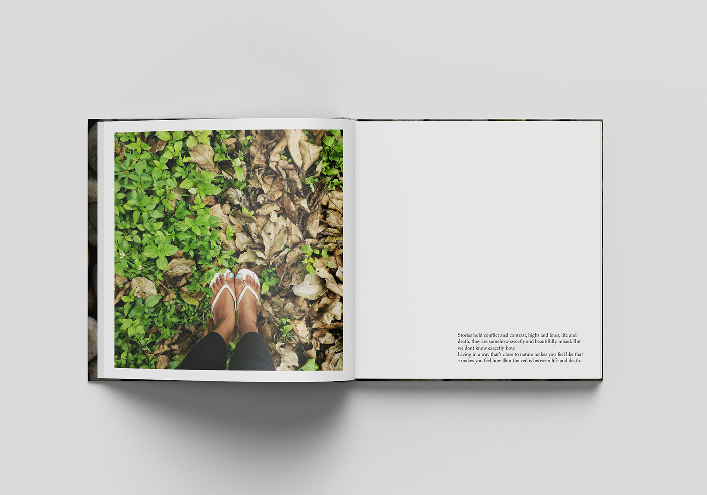 nature photography magazine publication square photobook Nature magazine  minimal book design square book