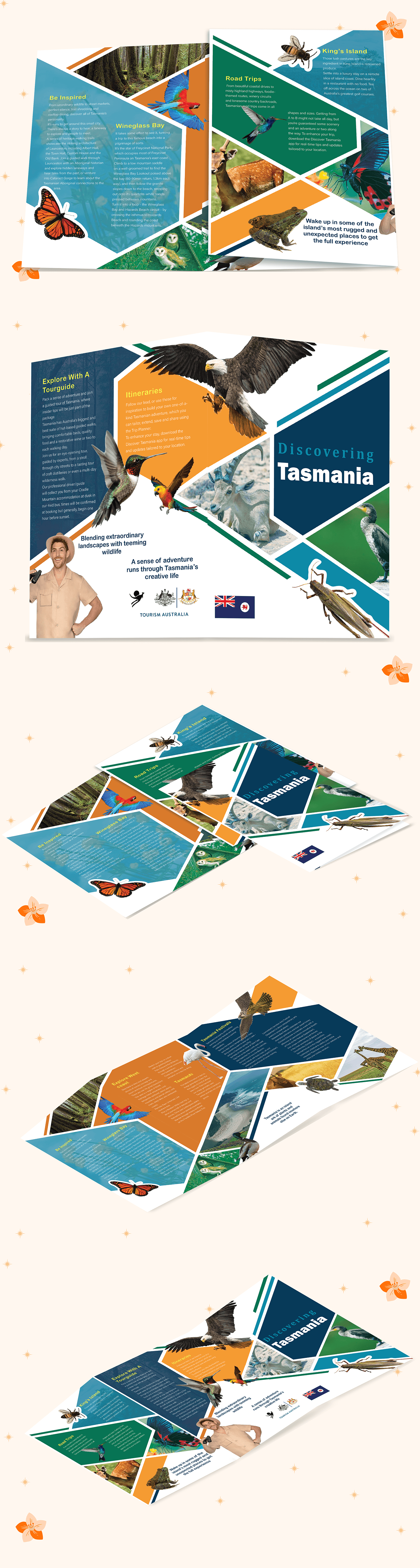 tourism InDesign Illustrator Figma brochure trifold Travel design inspiration photoshop
