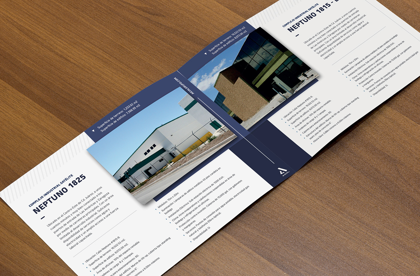real estate corporate business construction branding  design catalog brochure