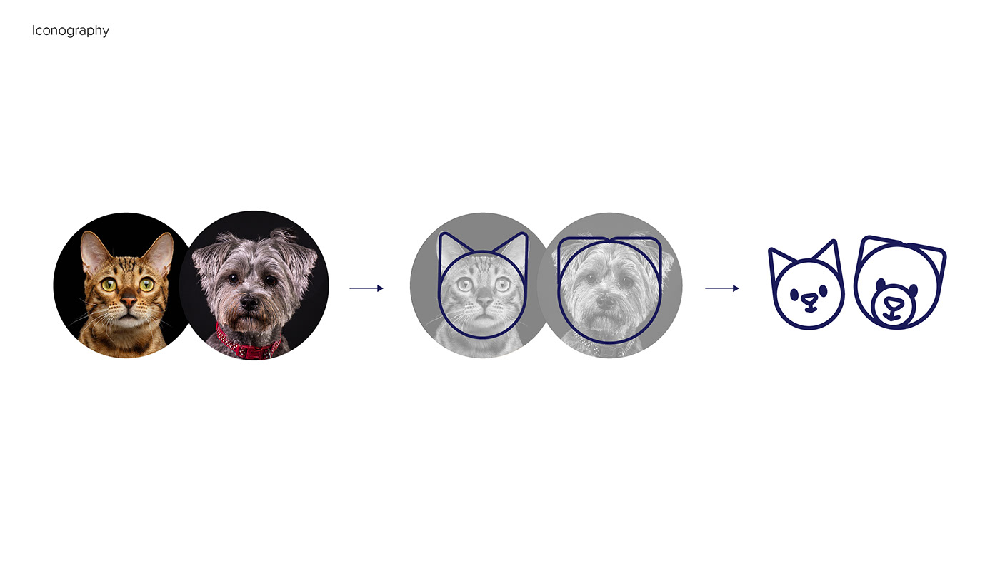 dog Cat Pet Logo Design icon design  ILLUSTRATION  blue brand identity logo bright