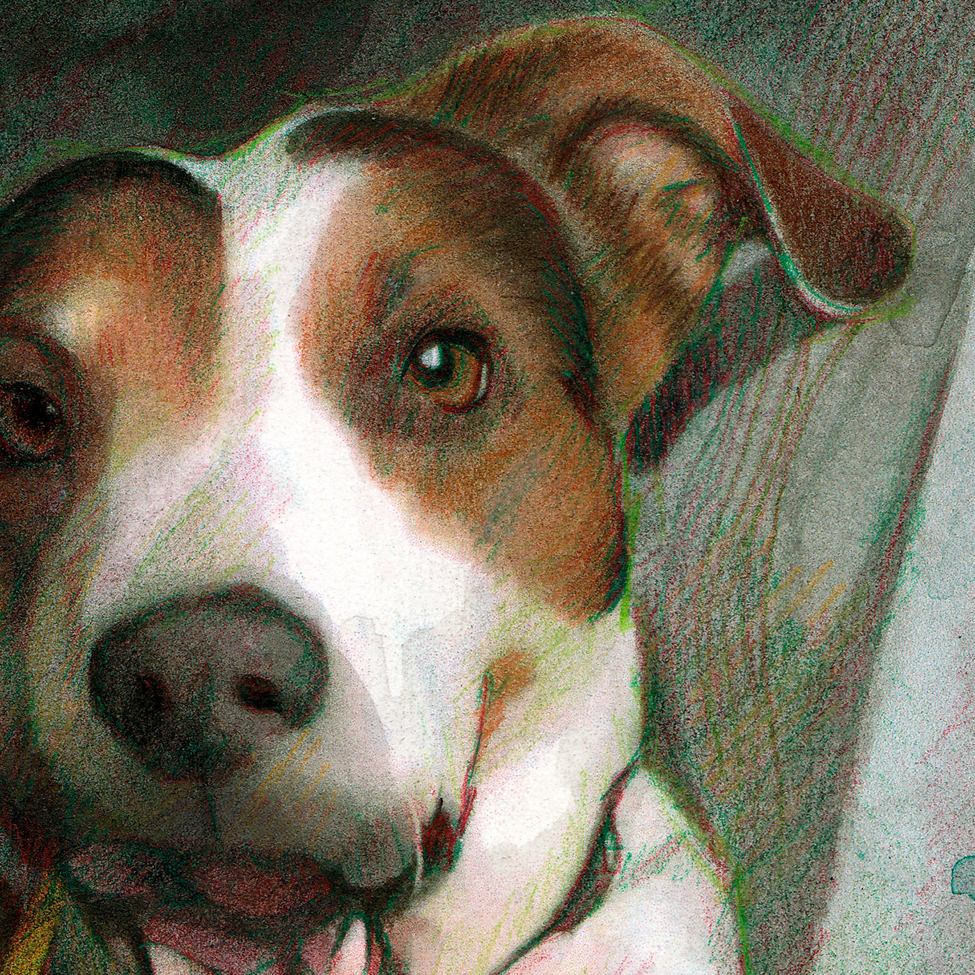 Drawing  TRADITIONAL ART Realistic drawing watercolor colored pencil dog portrait dog drawing russell terrier traditional drawing