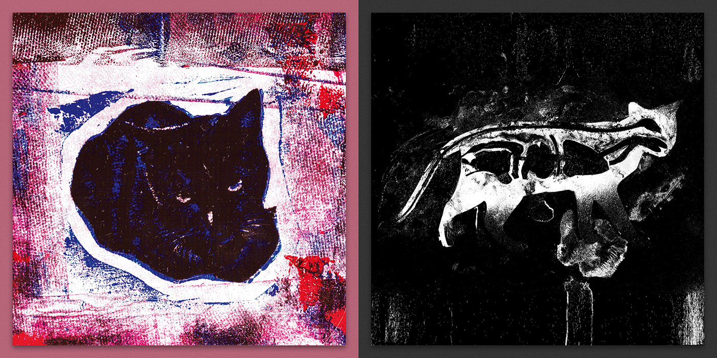 gatos Cat diseño gráfico graphic design  fadu stencil collage peeling Gabriele tecnicas