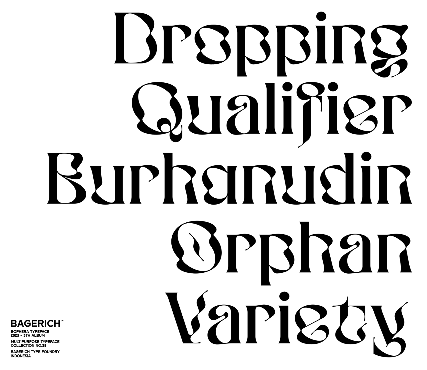 brand identity display font font Logo Design Logotype serif text type design Typeface typography  
