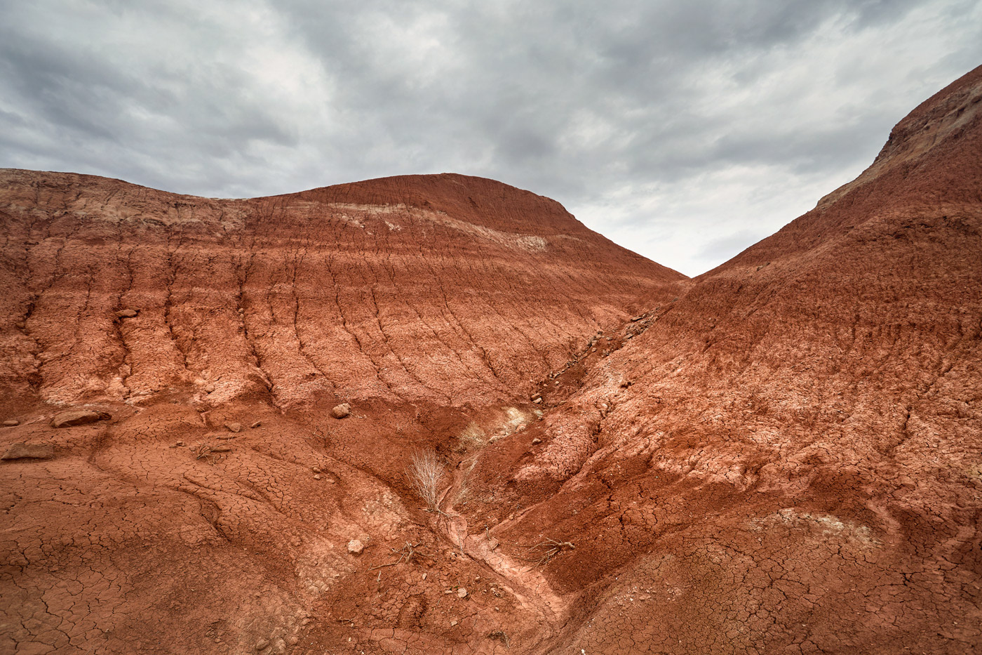 desert Landscape kazakhstan Nature Photography  Travel lonely wild