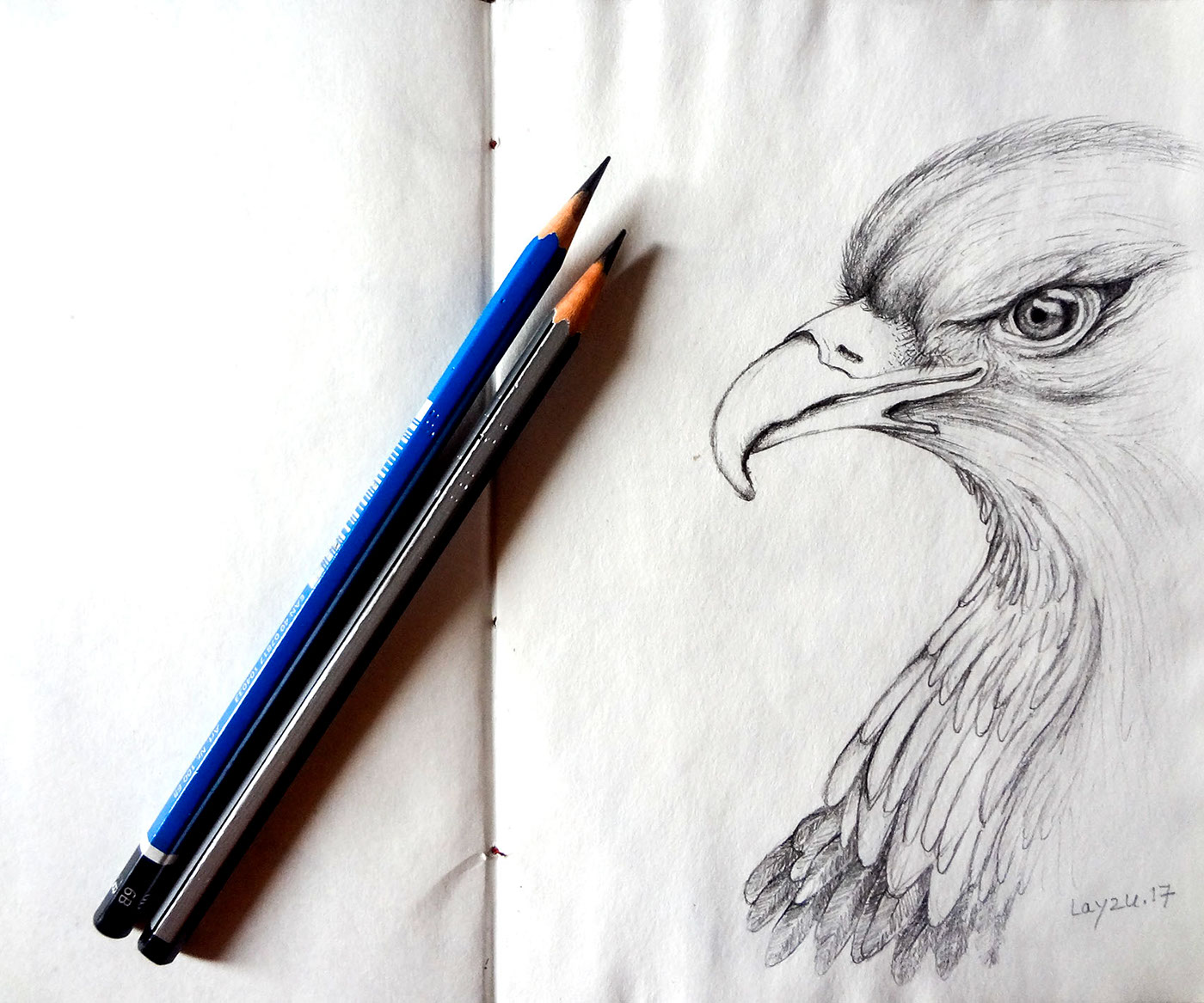 Fine Arts  sketch pencils paper passion