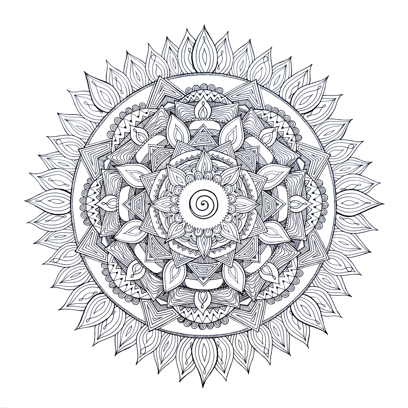 Mandala radial design black and white Drawing  Floral design ILLUSTRATION  ink drawing monochrome Nature zentangle