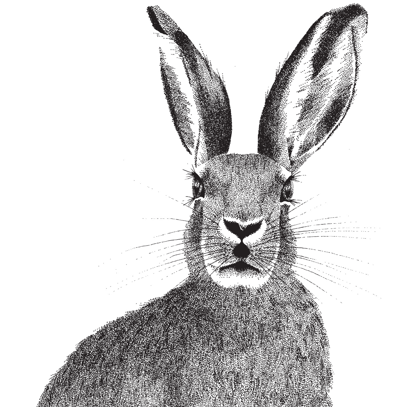 draw Pointillism Fur cute dots forest animals Nature hare print black minimal rabbit Bambi