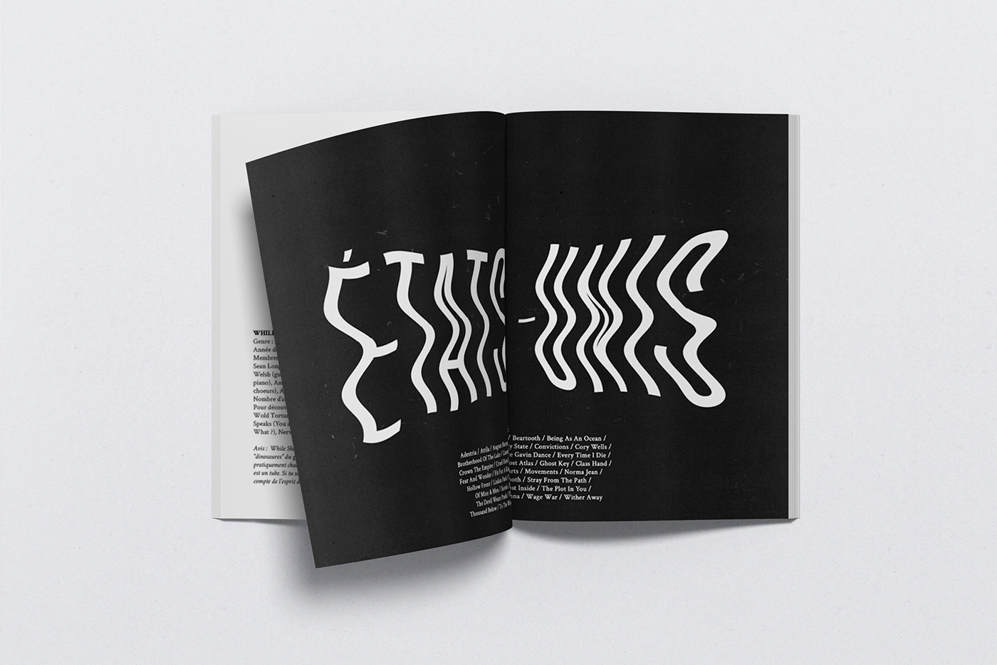 book brand identity design edition editorial graphisme Magazine design mise en page print typography  