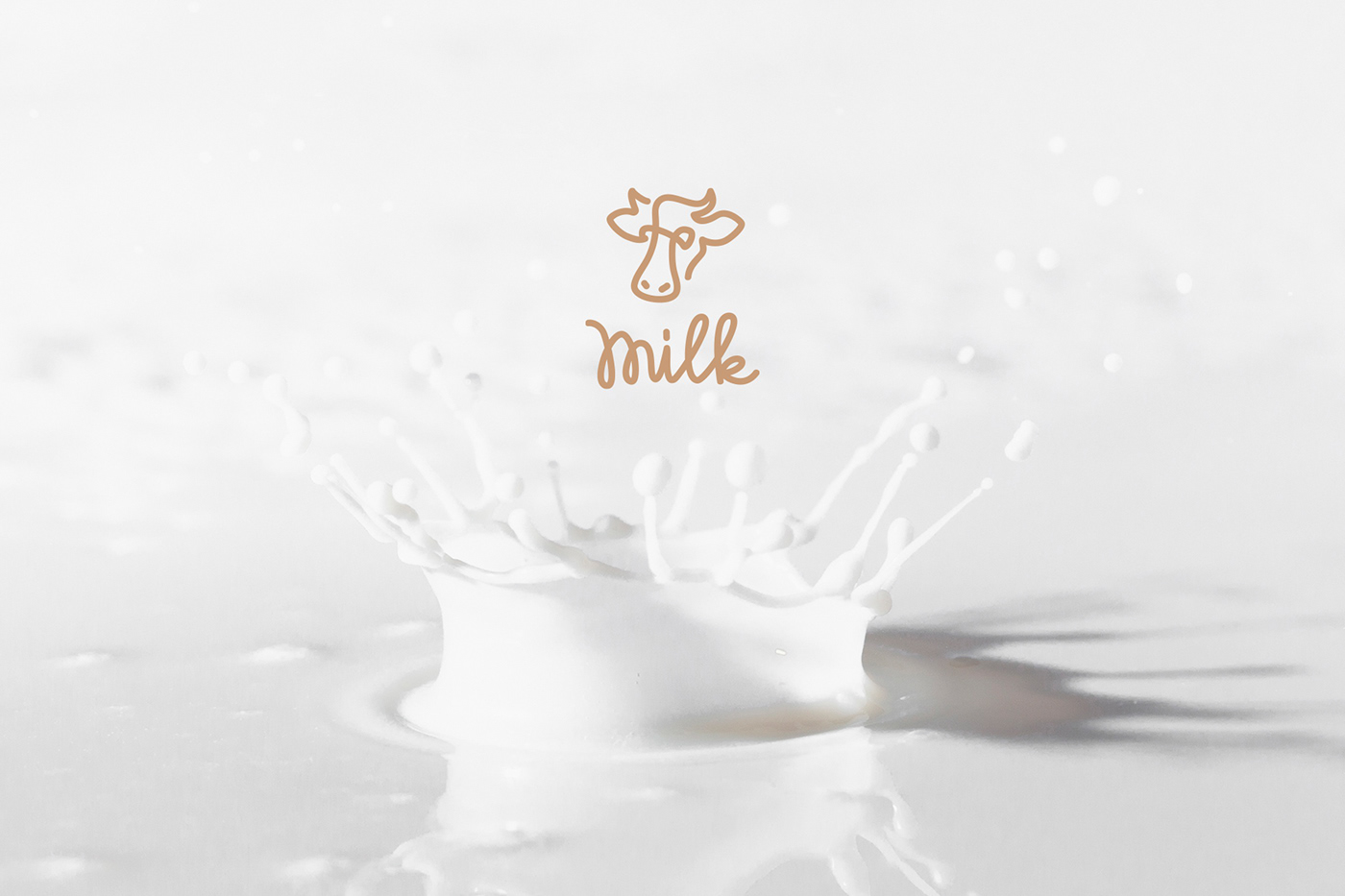 logo brand development moo cow milk