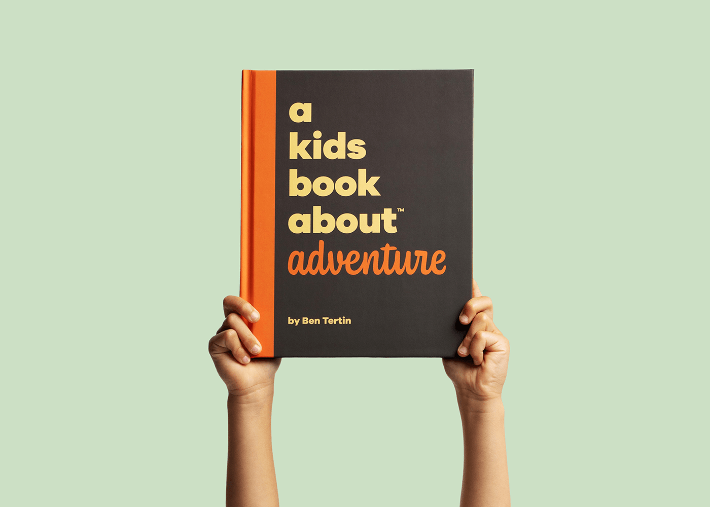 book book design brand branding  color Layout typography  