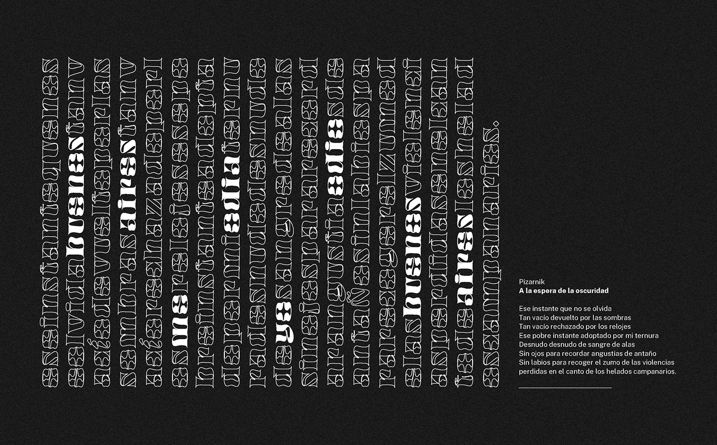 argentina book brochure editorial graphic design  magazine print publishing   tipography
