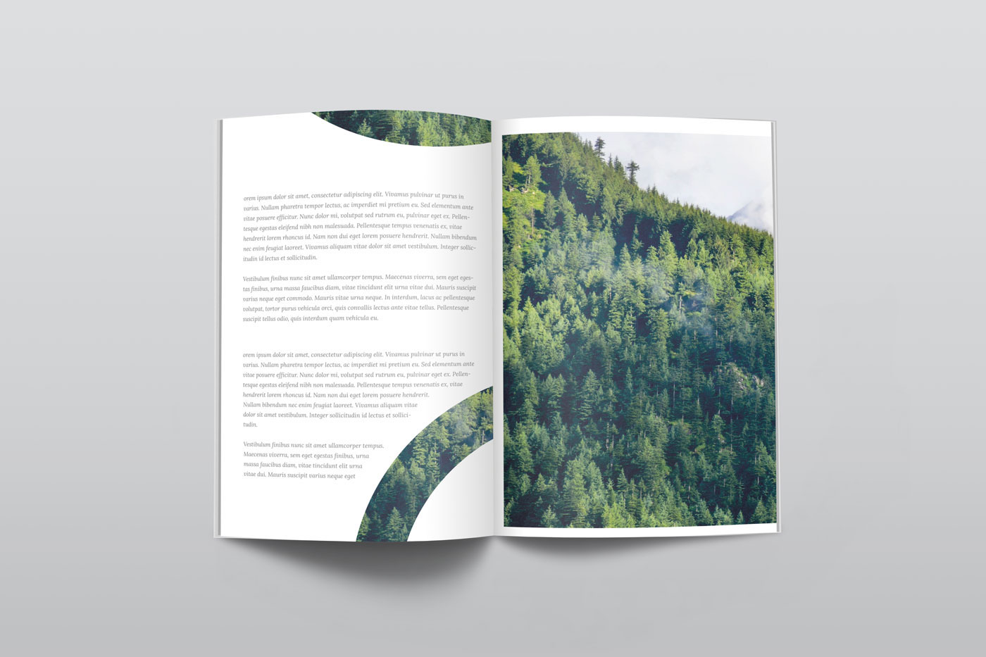 Download Ultra Clean Free PSD Magazine Mockup on Behance