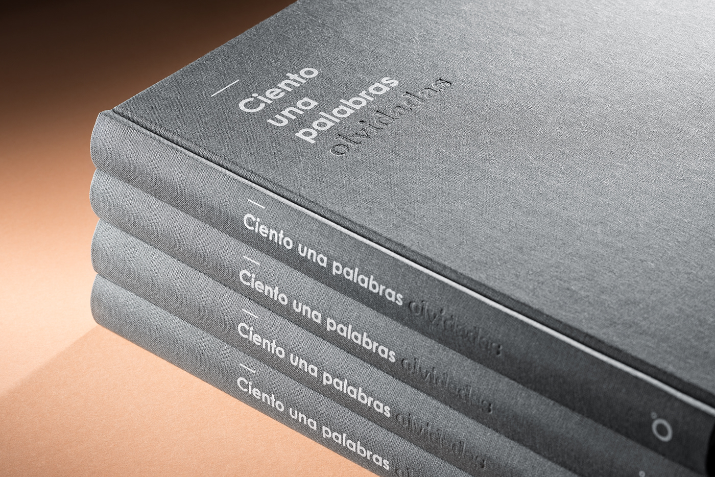 Adobe Portfolio books graphic design  shooting studio Proximity Barcelona jovalarderiu barcelona bernat joval ignacio marti