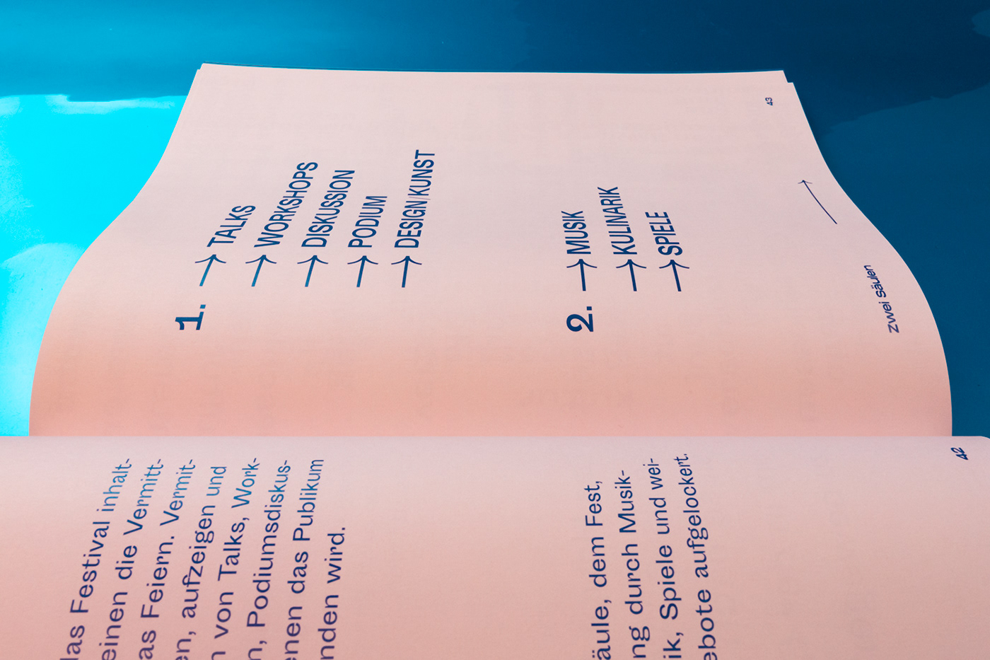 book Bookdesign branding  editorial editorial design  ILLUSTRATION  magazine Master Thesis Process Book typography  