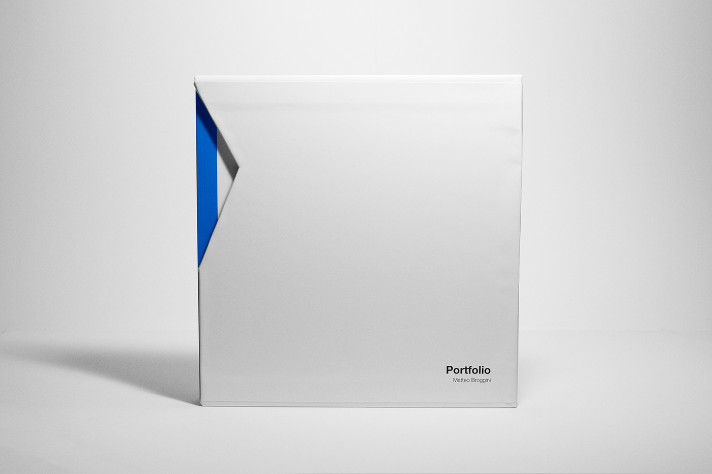 editorial design  graphic helvetica InDesign Logo Design logofolio packaging design Photography  portfolio Printing