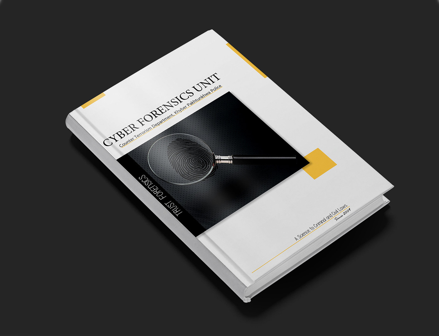 book bookcover Bookdesign design manual design graphic design 