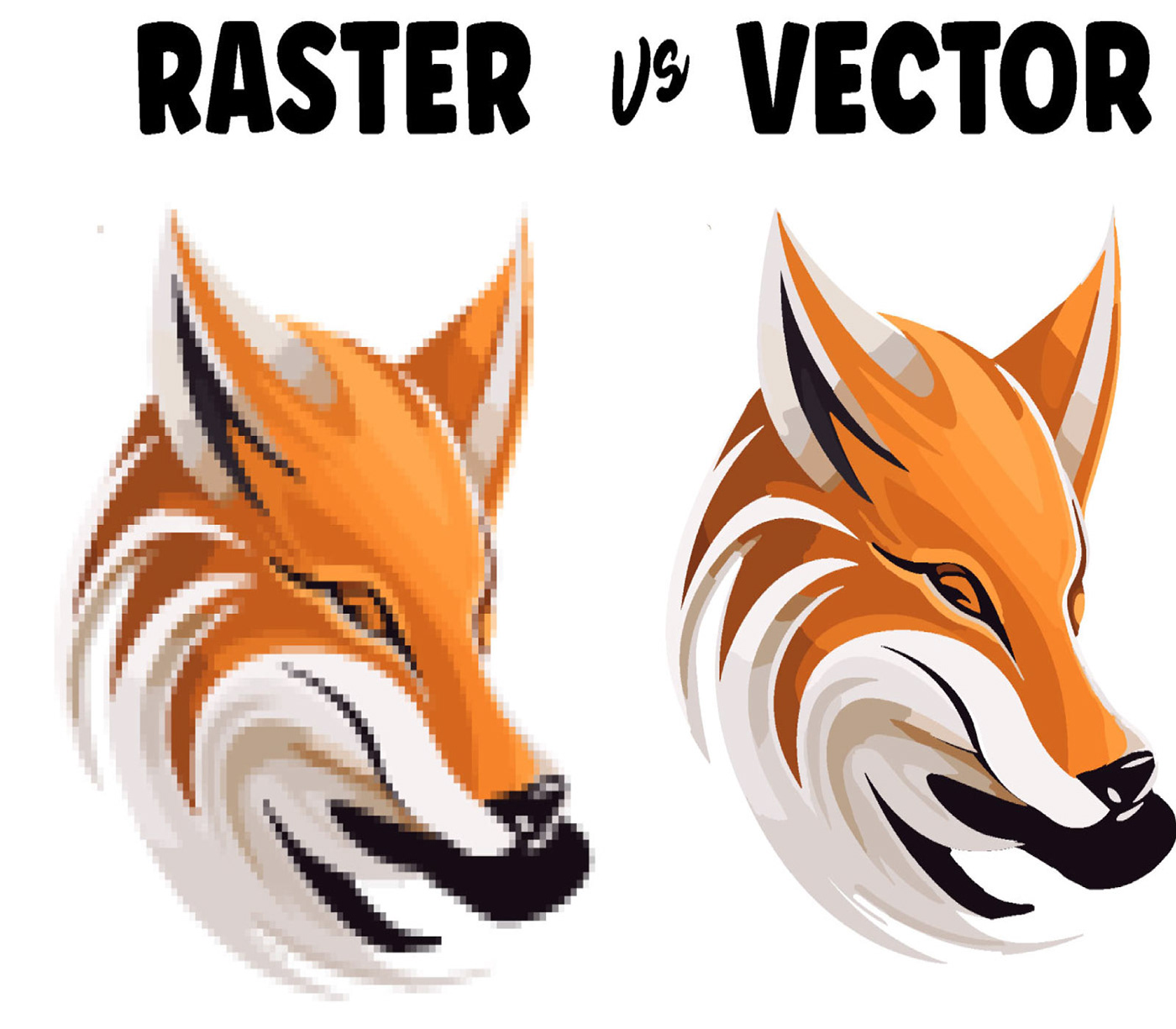 ILLUSTRATION  vector art redesign vector tracing vectorize tracing raster to vector