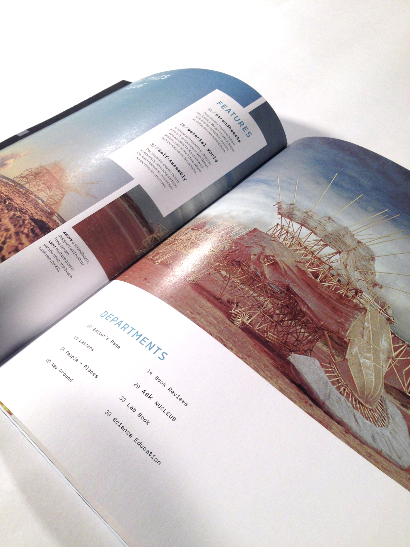 magazine massart biomimicry science Technology type Layout editorial design print