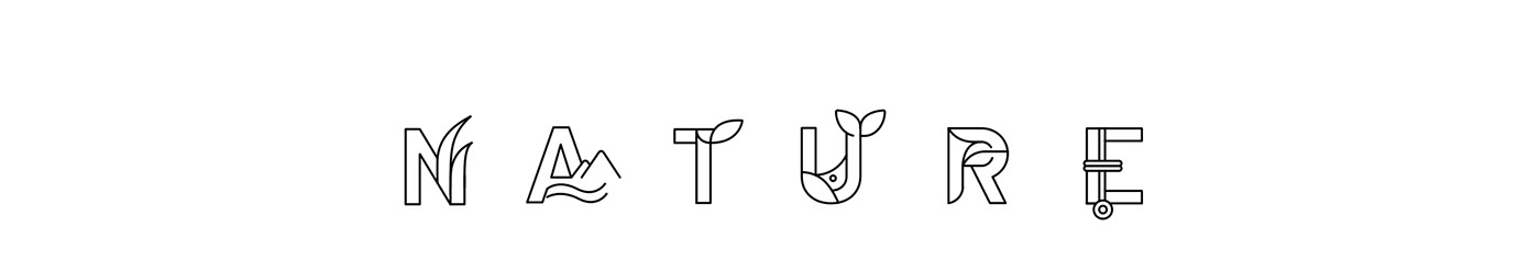 BBC davidattenborough Drawing  iconography icons identity ILLUSTRATION  letters Nature typography  