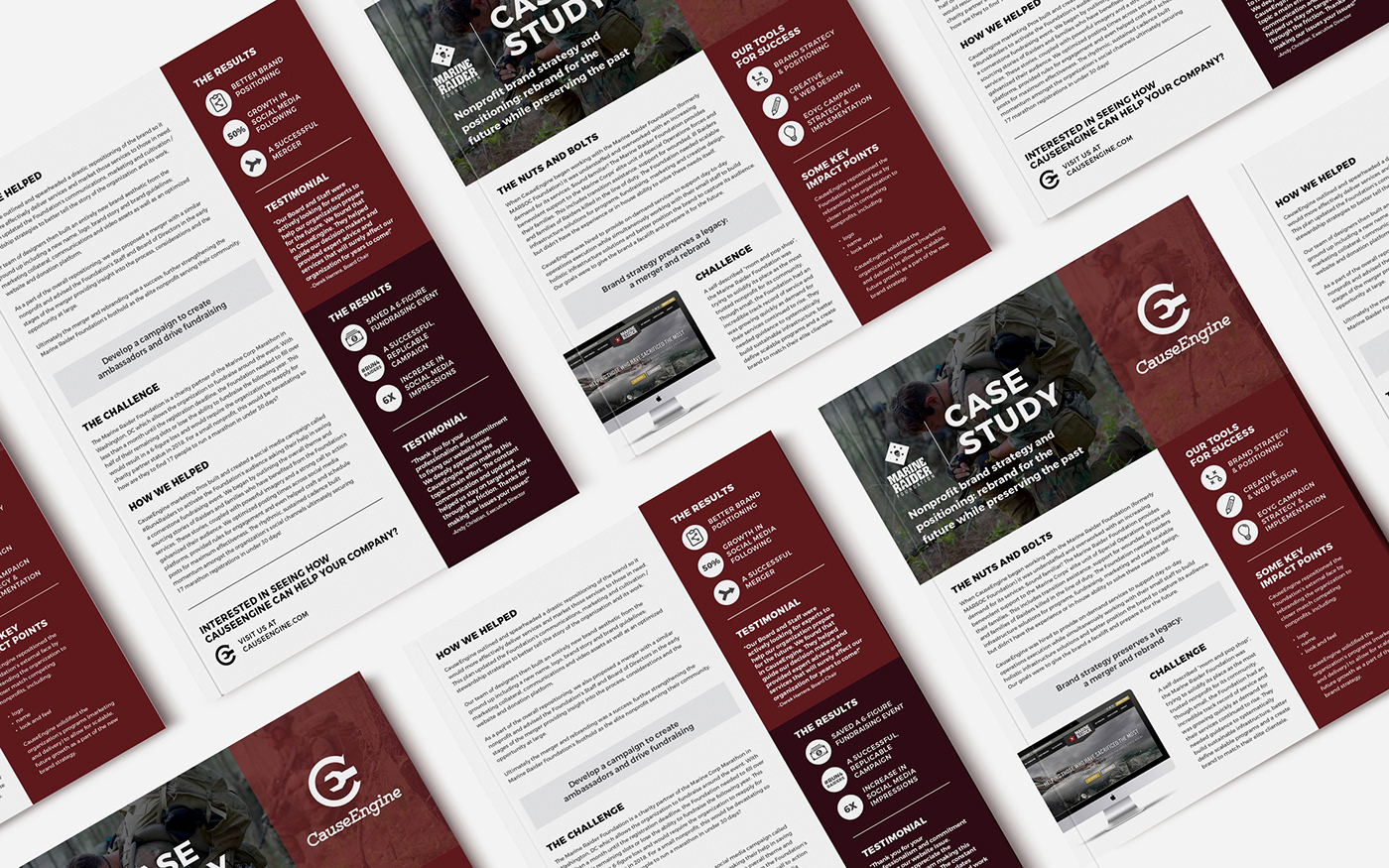 non-profit Case Study handout flyer one-pager graphic design  print marijuana veterans