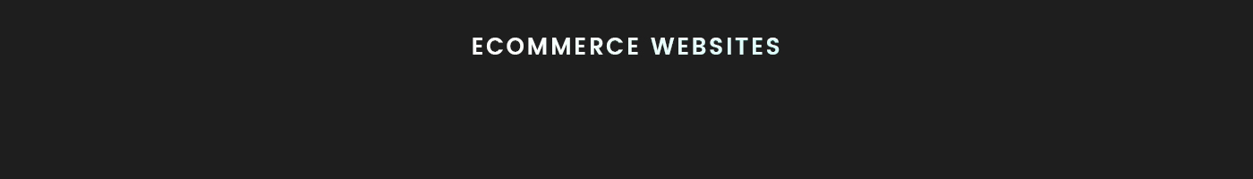 Ecommerce online store Web Design 