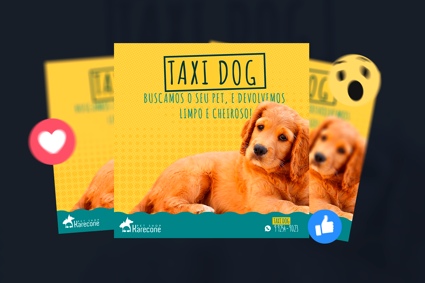 pet shop dogs pets cachorros social media Redes Sociais photoshop