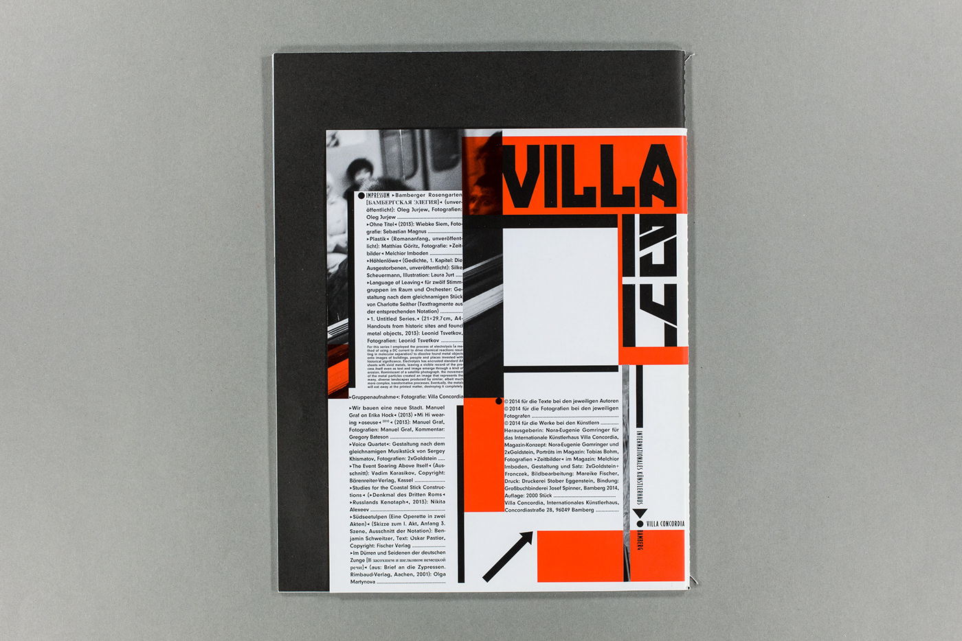cover design book design graphic design  typography   literature art bamber villa concordia