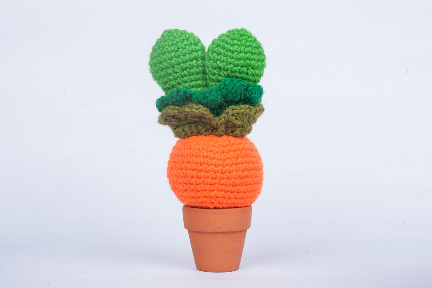 crochet amigurumi japanese art carrot bunny craft handmade DIY evergreen Plant