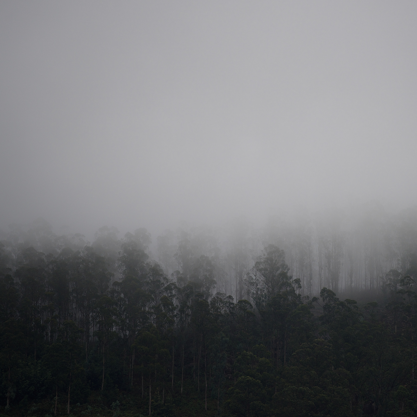 mist fog haze Nature silence clouds mountain Travel