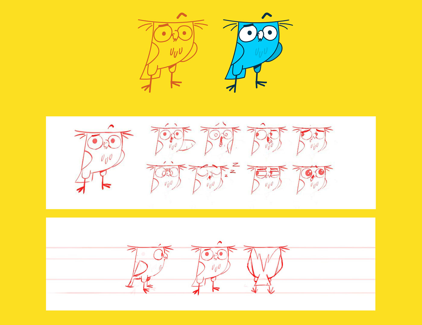 animation  bird boom Character design  intro logo motion owl