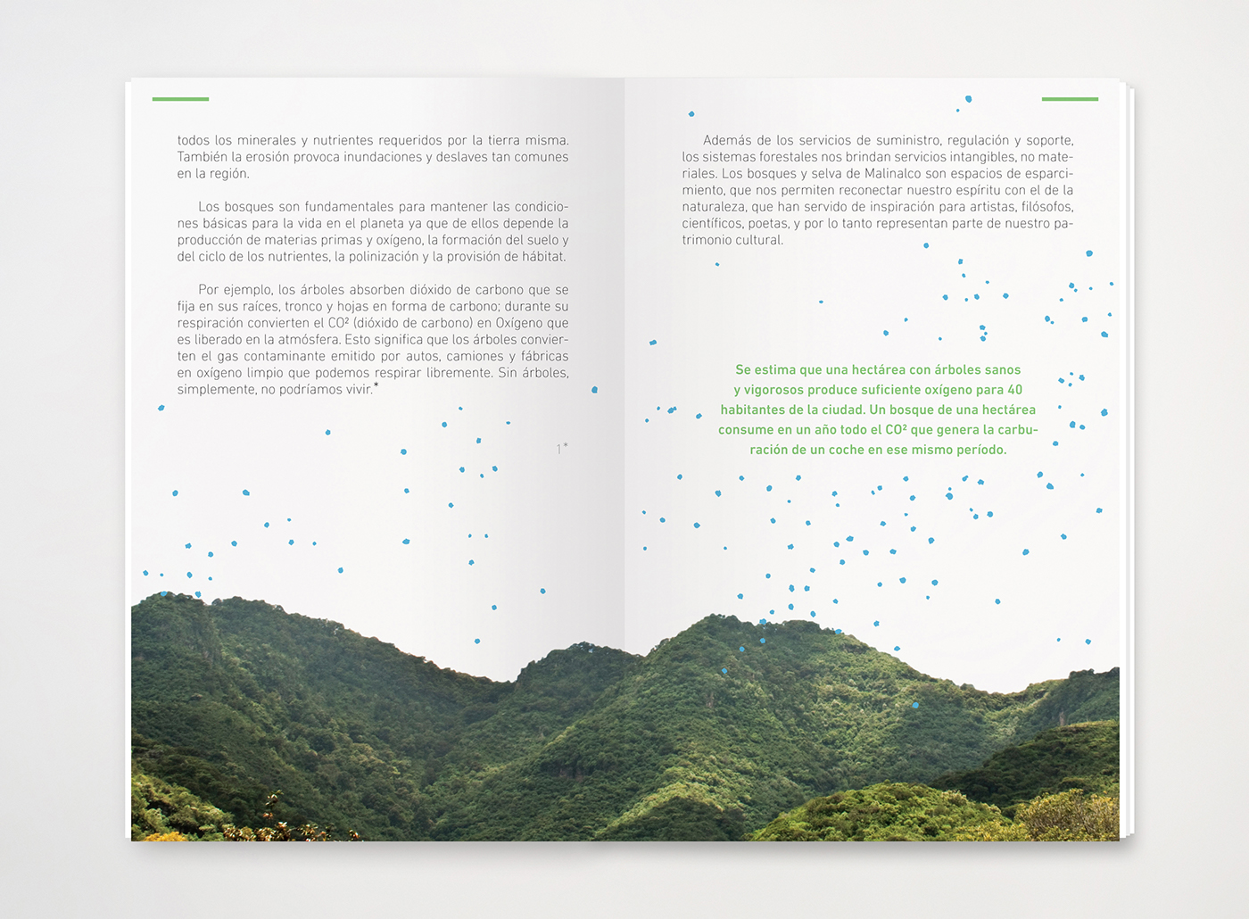 book  nature  Mexico  malinalco  print  editorial