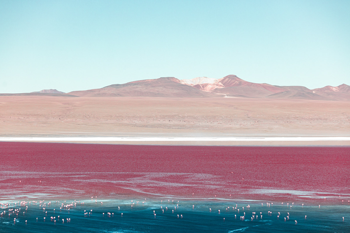 infrared landscapes Nature desert abstract minimal red pink flamingos lake