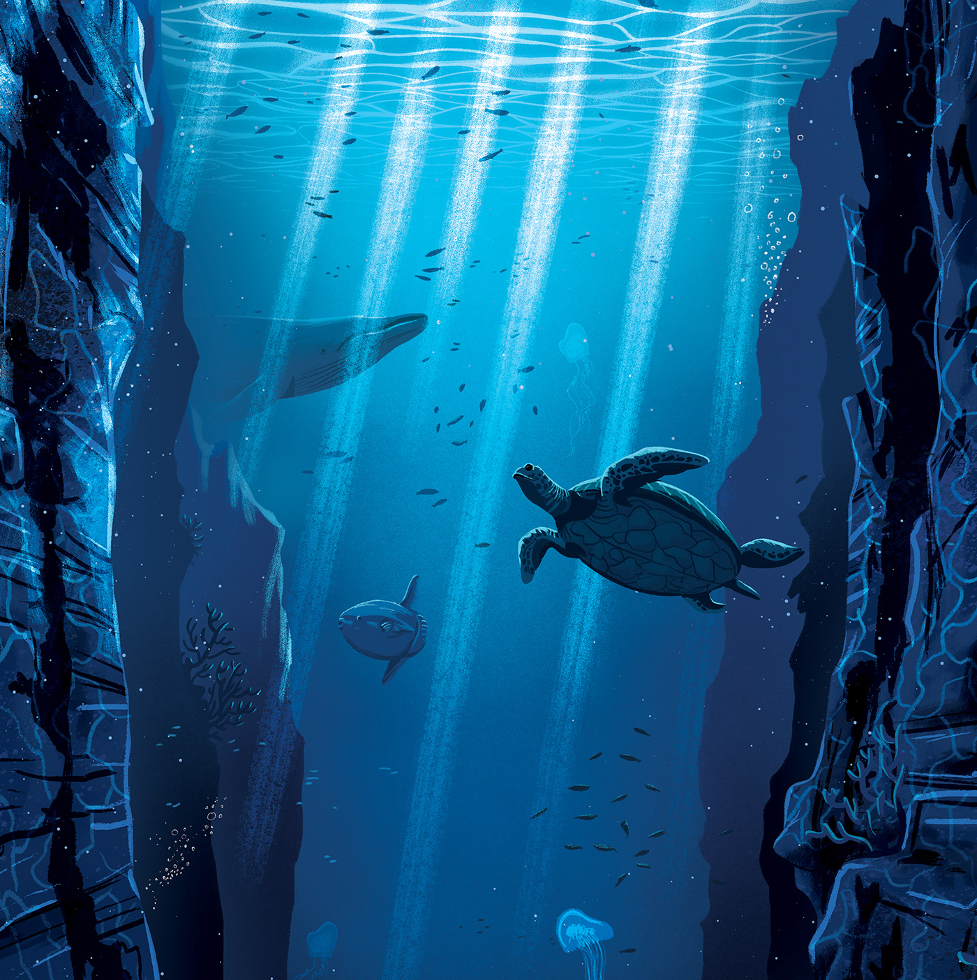 Ocean print artwork prints Turtle Whale jellyfish sunfish sea earth