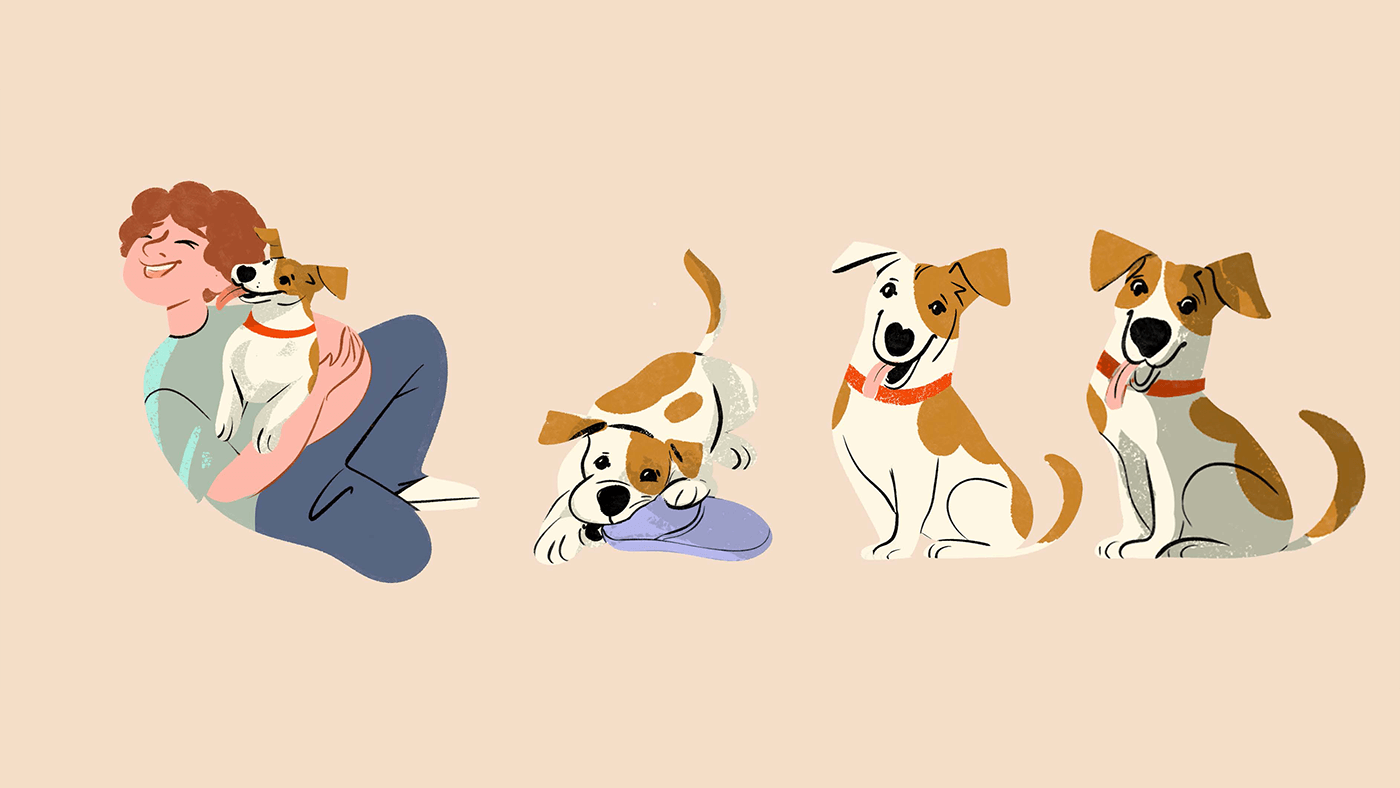 pets dogs story Character 2D Animation after effects toon boom harmony Character design  Cel Animation dog life