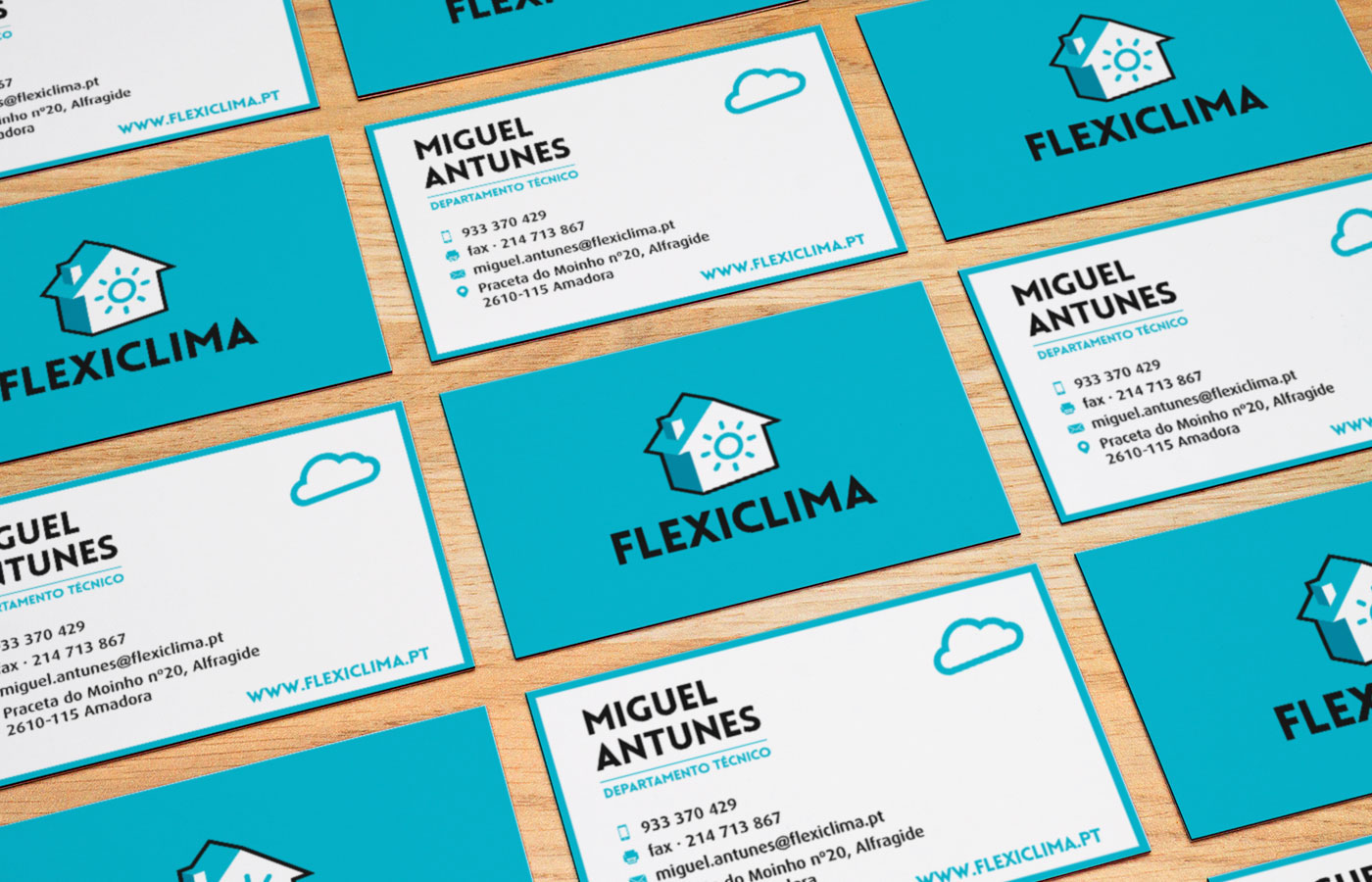 flexiclima branding  graphic design 