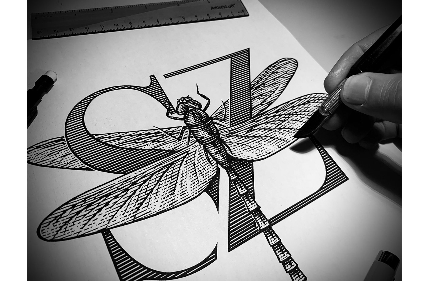 animals engraving etching ink Art line art pen and ink scratchboard Steven Noble wine label
