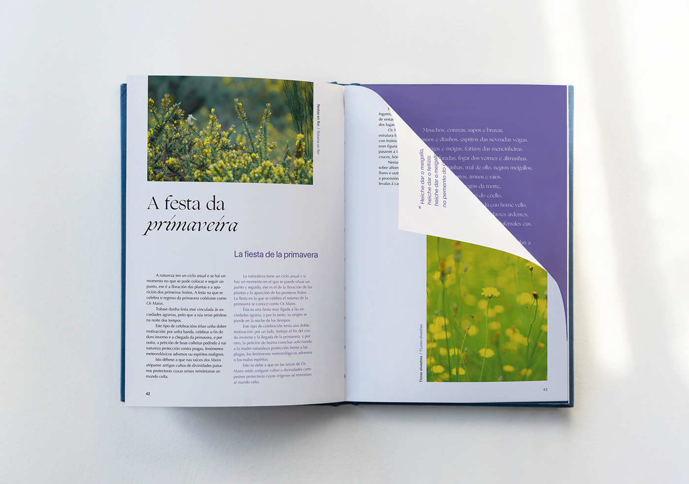 Diseño editorial libro Leyendas Galicia