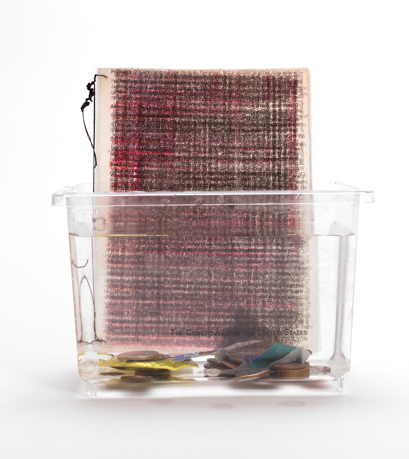 Constitution Fish Tank  water  mixed media Multi Media acetate projector overheads  overhead book clear paper