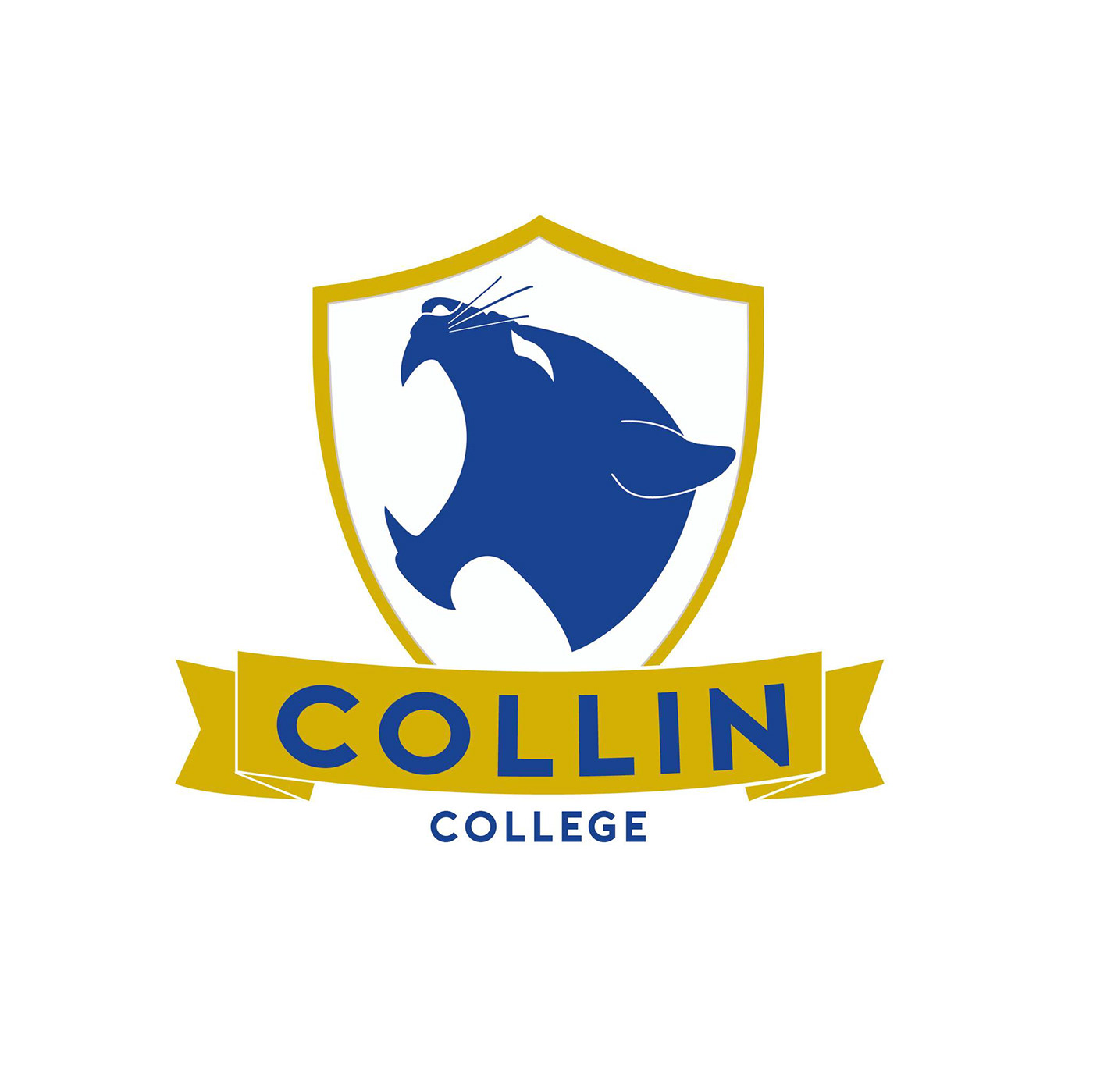 election-q-a-collin-college-board-of-trustees-for-place-8-community-impact