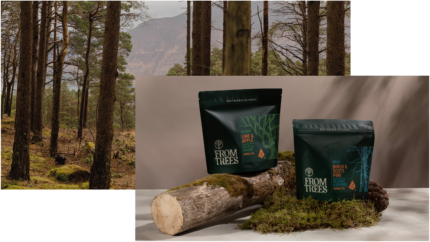 Brand Design brand identity branding  ILLUSTRATION  Packaging packaging design tea Tree 